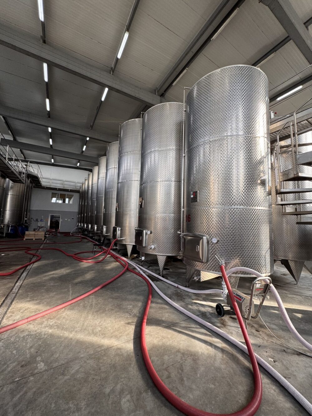 Factory wine